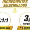 BCAA COMPLEX 4:1:1 280 GR - NUTRATA