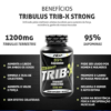 STRONG TRIB-X 100 TABLETS 1200 MG - NBF NUTRITION