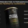 MUSCLE SYNERGY (JABUTICABA COM LIMAO) LATA 427GR - ESSENTIAL NUTRITION