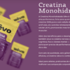 CREATINA MONOHIDRATADA 300 - UEVO