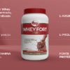 WHEY FORT 3W 900 GR (BAUNILHA) - VITAFOR